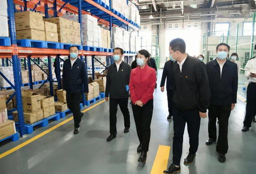 王莉霞強調 強化一對一精準服務，全面推動綜合保稅區高質量發展